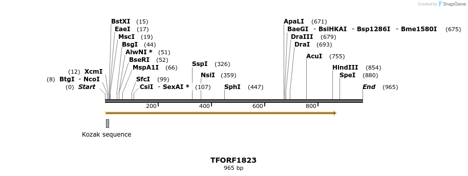 283680_map