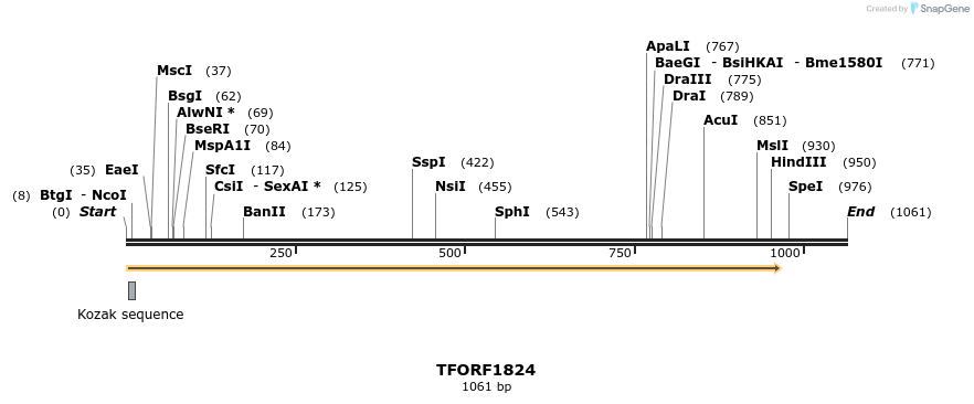 283683_map