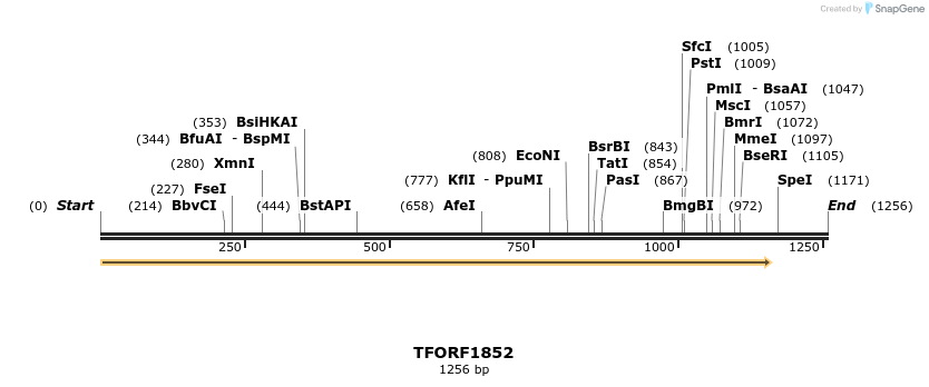 283689_map