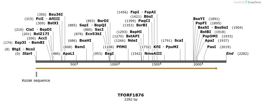 283701_map
