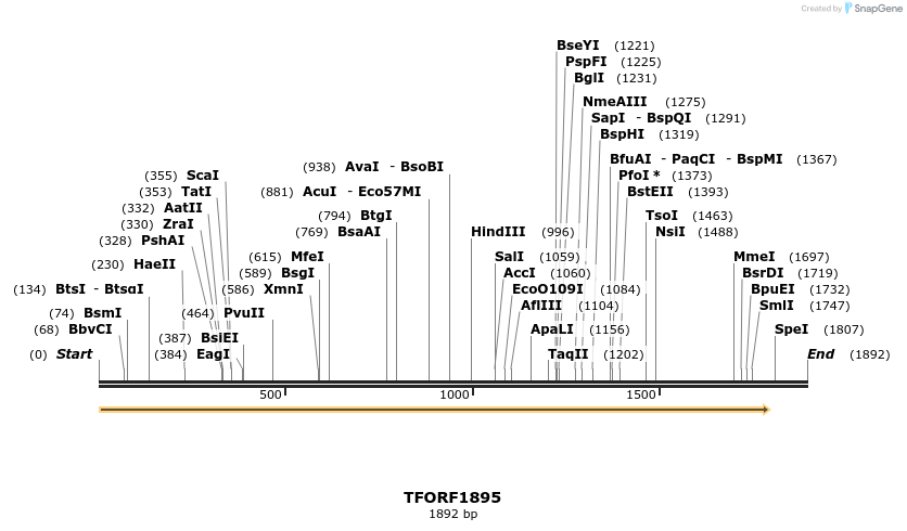 283704_map