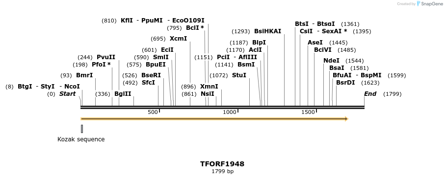 283710_map