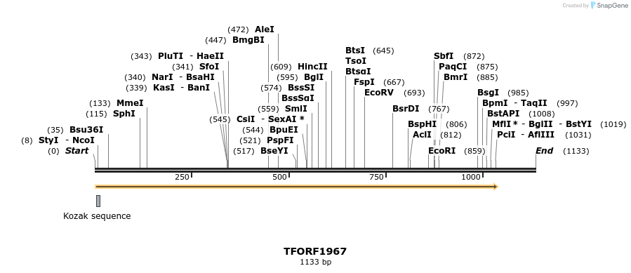 283713_map