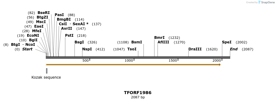 283716_map