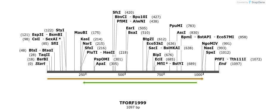 283719_map