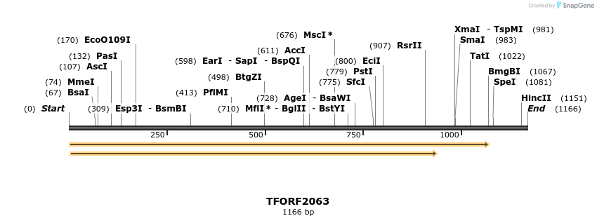 283728_map