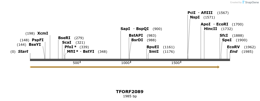 283731_map