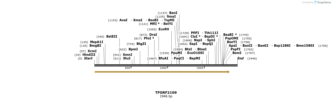 283737_map