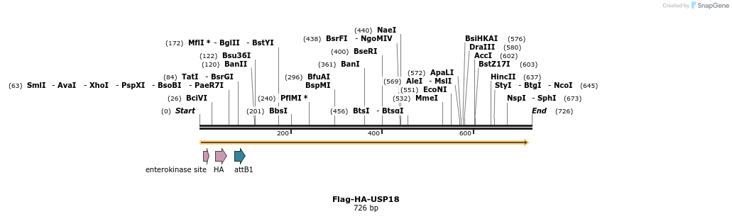 28374_map
