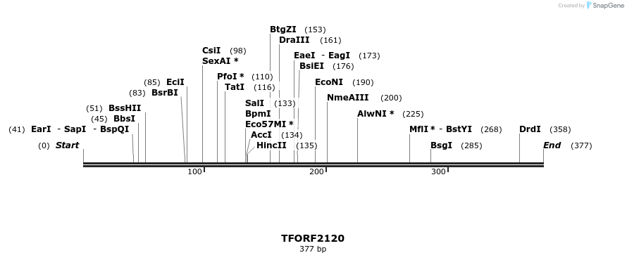 283740_map