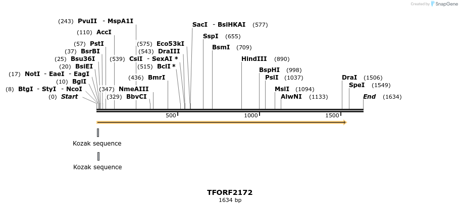 283743_map