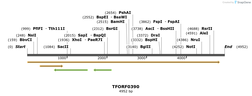 283752_map