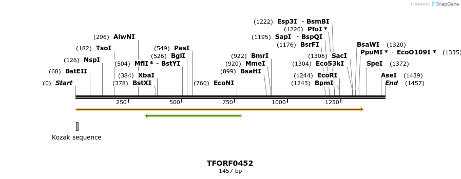 283764_map