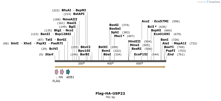 28377_map