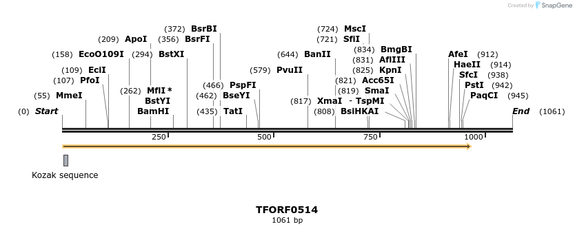 283773_map