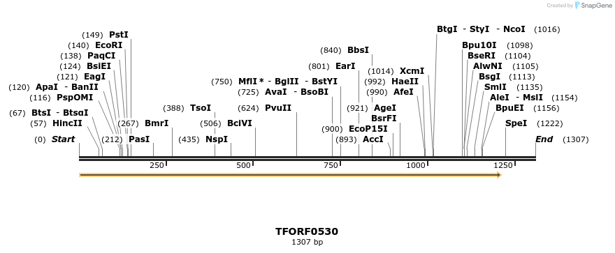 283776_map