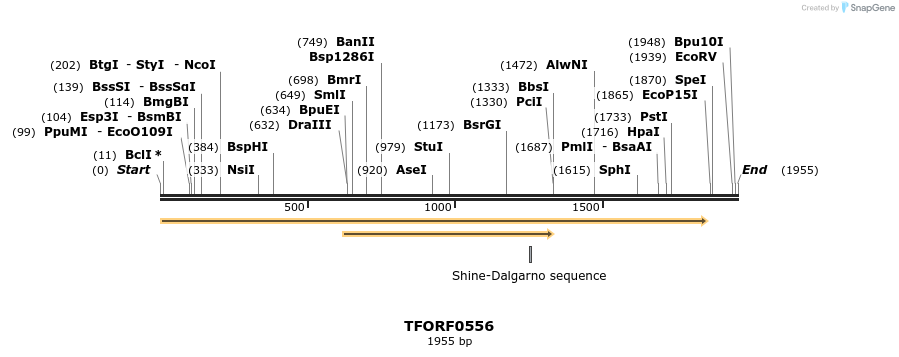 283779_map