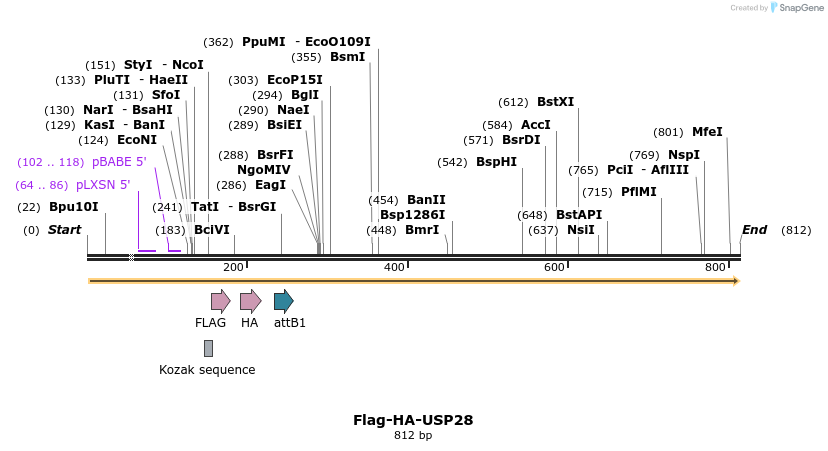 28378_map