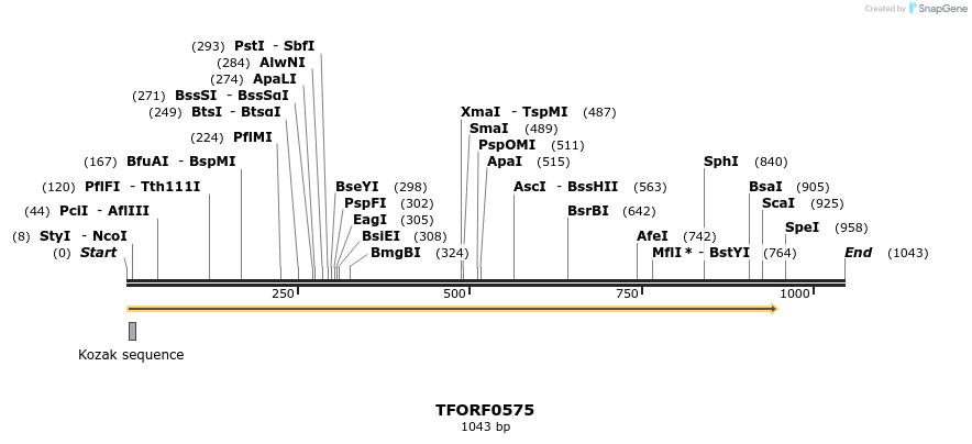 283782_map