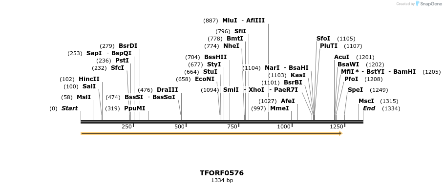 283785_map