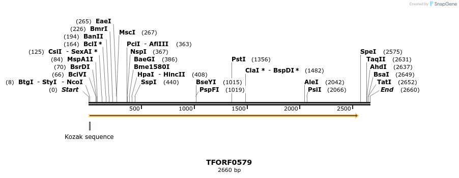 283788_map