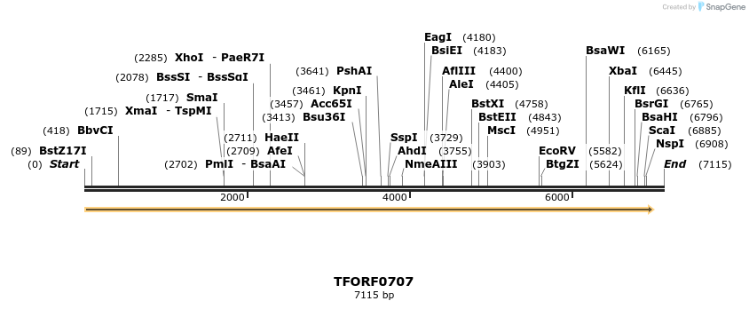 283794_map