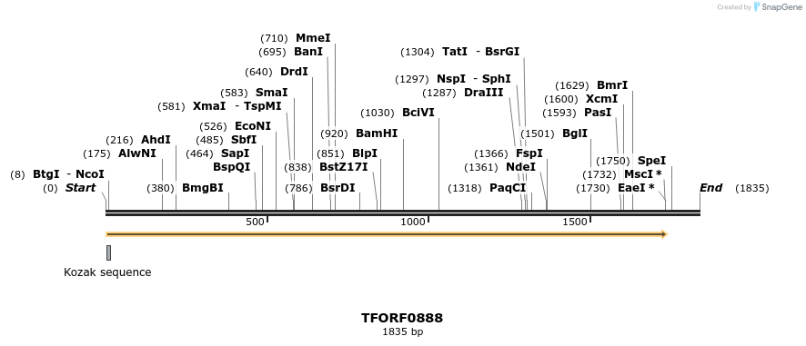 283803_map