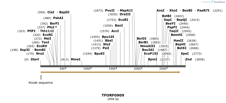 283806_map