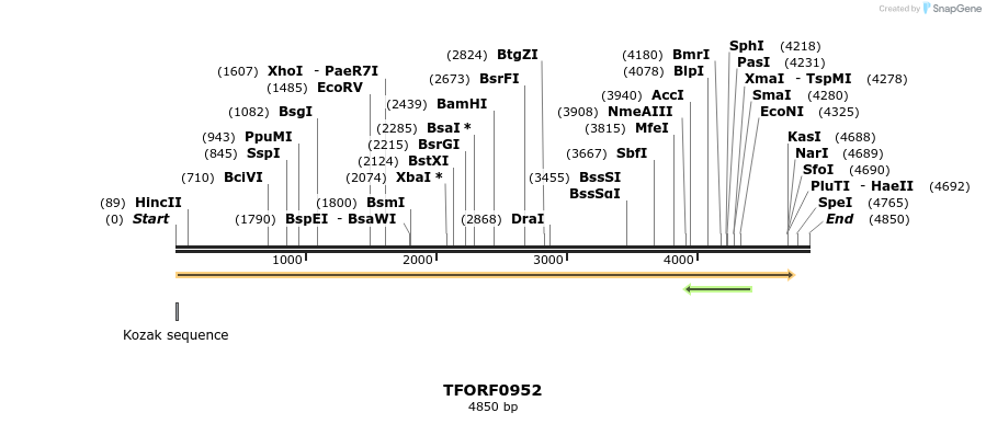 283809_map