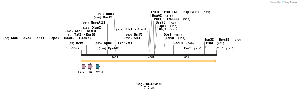 28381_map