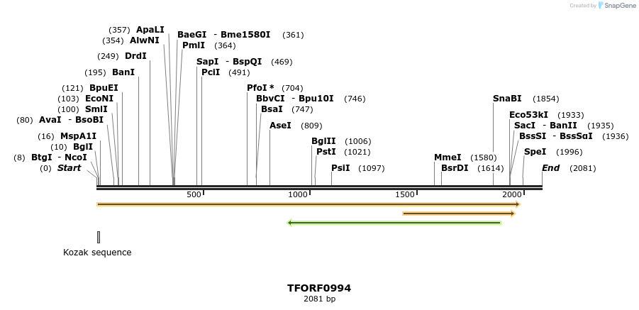 283815_map