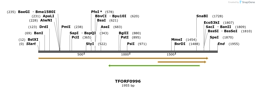 283818_map
