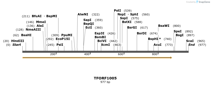 283821_map