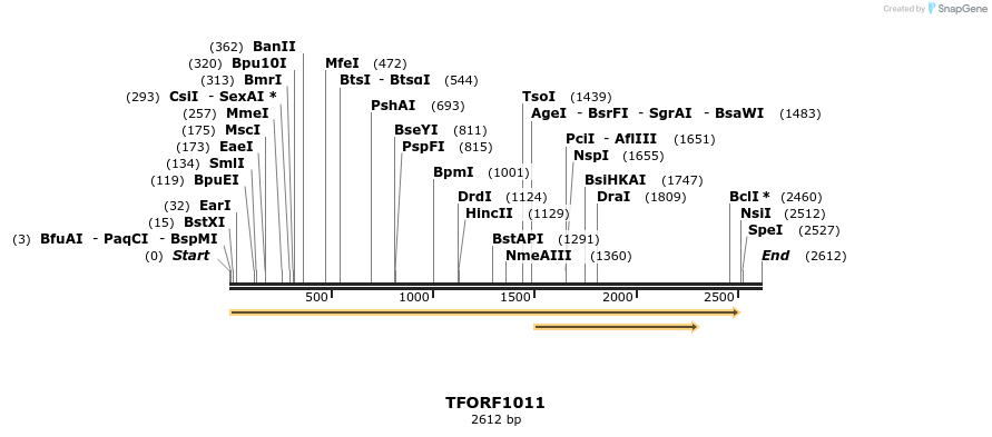 283824_map
