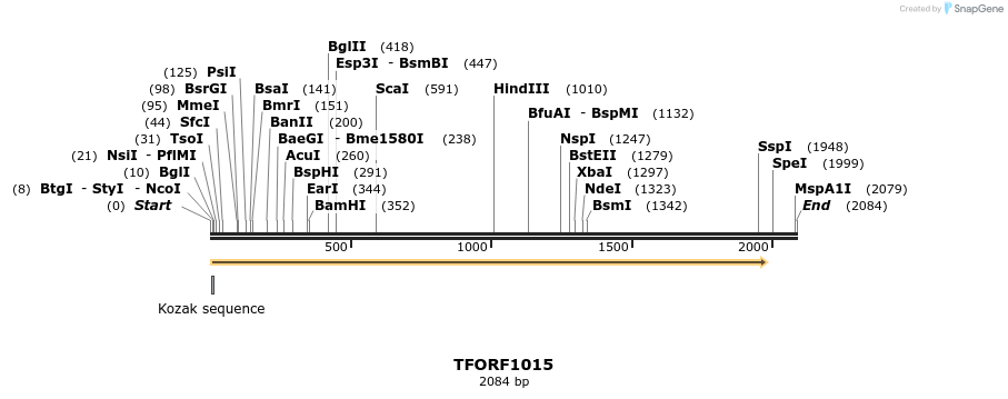 283830_map