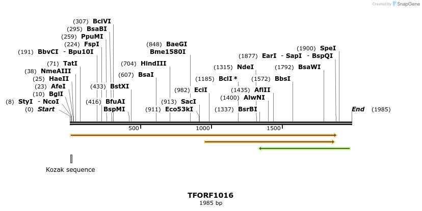283833_map