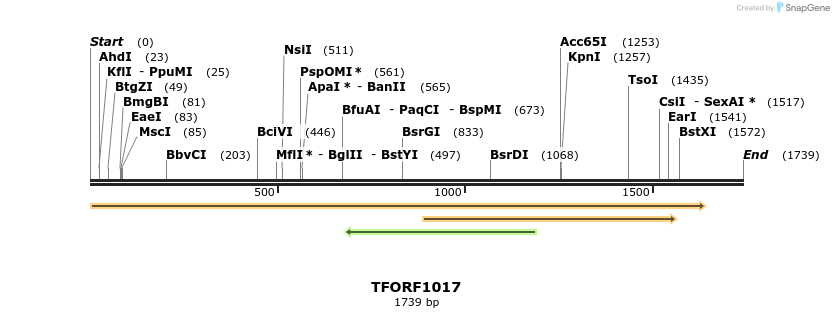 283836_map