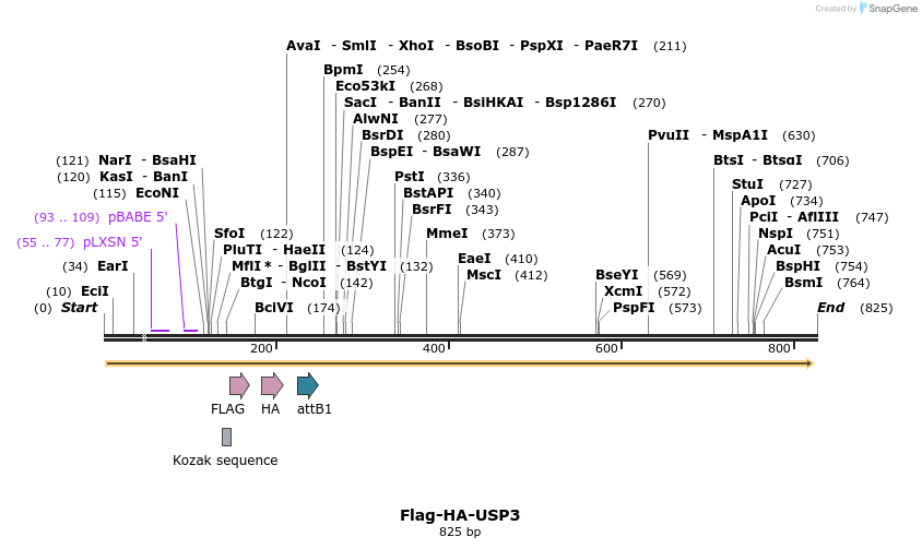 28384_map