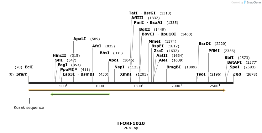 283842_map