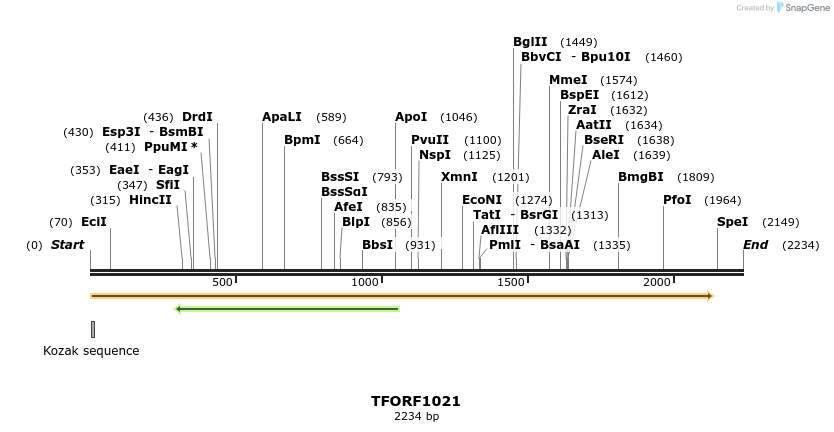 283845_map