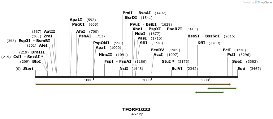 283848_map