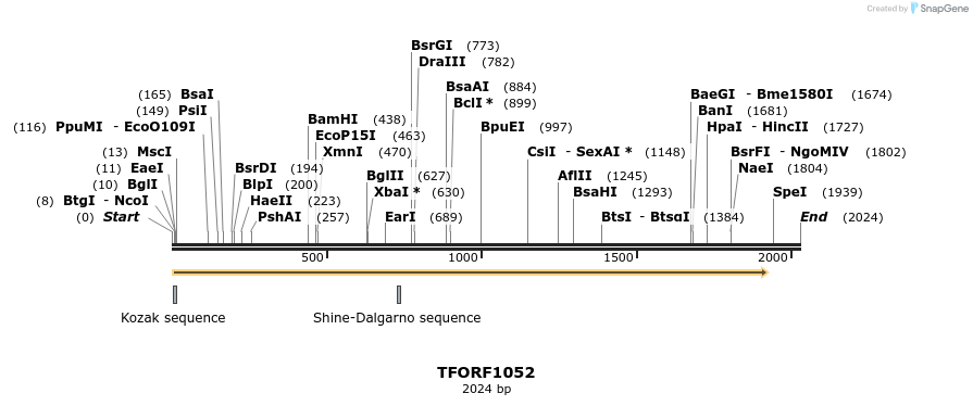 283857_map