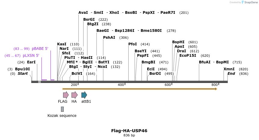 28386_map