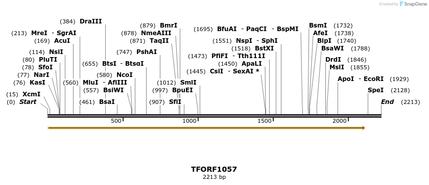 283863_map