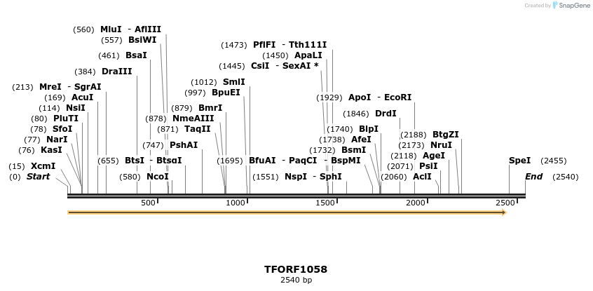 283866_map
