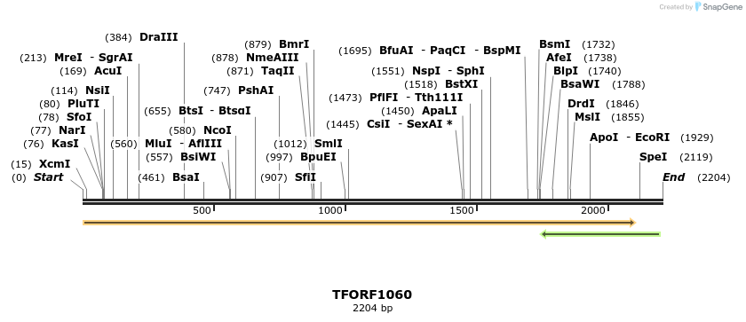 283872_map