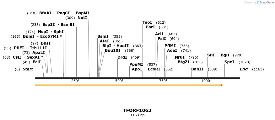 283875_map
