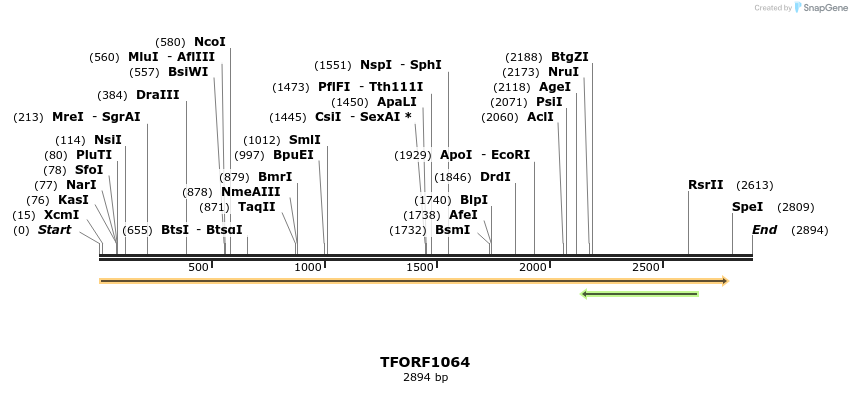 283878_map