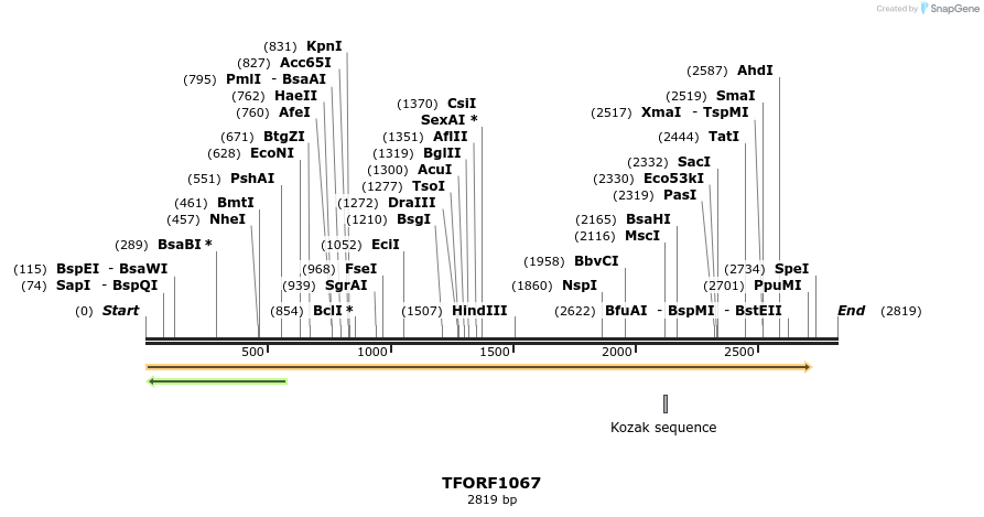 283887_map
