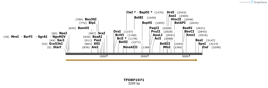283890_map